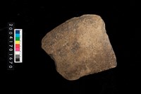 藏品(盆口)的圖片