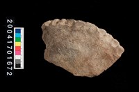 藏品(缽口或盆口?)的圖片