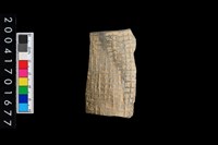 藏品(筒狀器殘件)的圖片