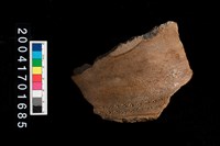 藏品(頸折-帶紋)的圖片