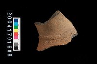 藏品(頸折-帶紋)的圖片