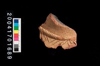 藏品(頸折-帶紋)的圖片