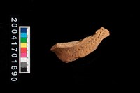 藏品(頸折-帶紋)的圖片