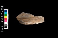 藏品(頸折-帶紋)的圖片