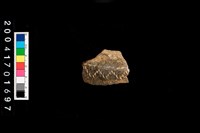 藏品(缽口-帶紋)的圖片