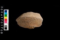 藏品(底部)的圖片