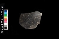 藏品(腹片-帶紋)的圖片