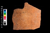 藏品(腹片-帶紋)的圖片