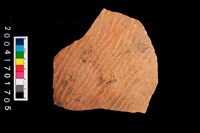 藏品(腹片-帶紋)的圖片