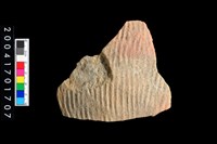 藏品(腹片-帶紋)的圖片