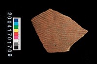 藏品(繩紋腹片)的圖片