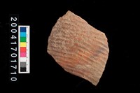 藏品(繩紋腹片)的圖片