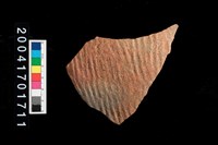 藏品(腹片-帶紋)的圖片