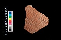 藏品(腹片-帶紋)的圖片