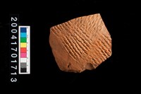 藏品(繩紋腹片)的圖片