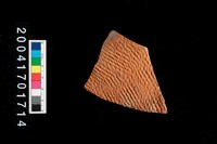 藏品(繩紋腹片)的圖片