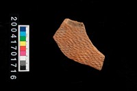 藏品(繩紋腹片)的圖片