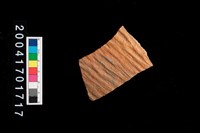 藏品(腹片-帶紋)的圖片