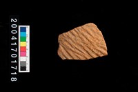 藏品(繩紋腹片)的圖片