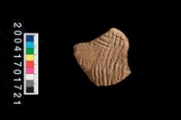 藏品(繩紋腹片)的圖片