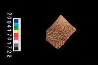 藏品(繩紋腹片)的圖片