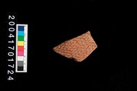 藏品(繩紋腹片)的圖片