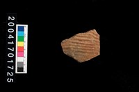 藏品(腹片-帶紋)的圖片