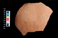 藏品(繩紋腹片)的圖片