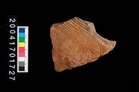 藏品(繩紋腹片)的圖片