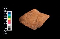 藏品(繩紋腹片)的圖片