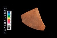 藏品(繩紋腹片)的圖片