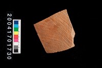 藏品(繩紋腹片)的圖片