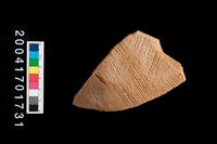 藏品(繩紋腹片)的圖片