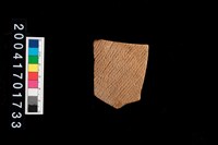 藏品(繩紋腹片)的圖片