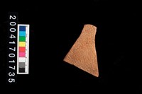 藏品(繩紋腹片)的圖片