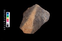 藏品(繩紋腹片)的圖片