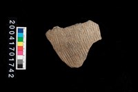 藏品(繩紋腹片)的圖片