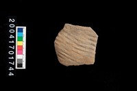 藏品(繩紋腹片)的圖片