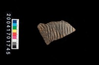 藏品(繩紋腹片)的圖片