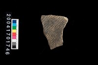 藏品(繩紋腹片)的圖片