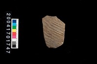 藏品(繩紋腹片)的圖片