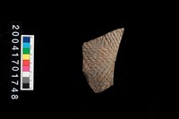 藏品(繩紋腹片)的圖片