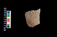 藏品(繩紋腹片)的圖片