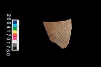 藏品(繩紋腹片)的圖片