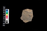藏品(繩紋腹片)的圖片