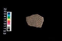 藏品(繩紋腹片)的圖片