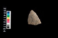 藏品(繩紋腹片)的圖片