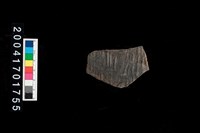 藏品(繩紋腹片)的圖片