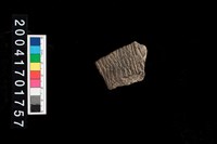 藏品(繩紋腹片)的圖片