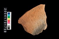 藏品(腹片-帶紋)的圖片